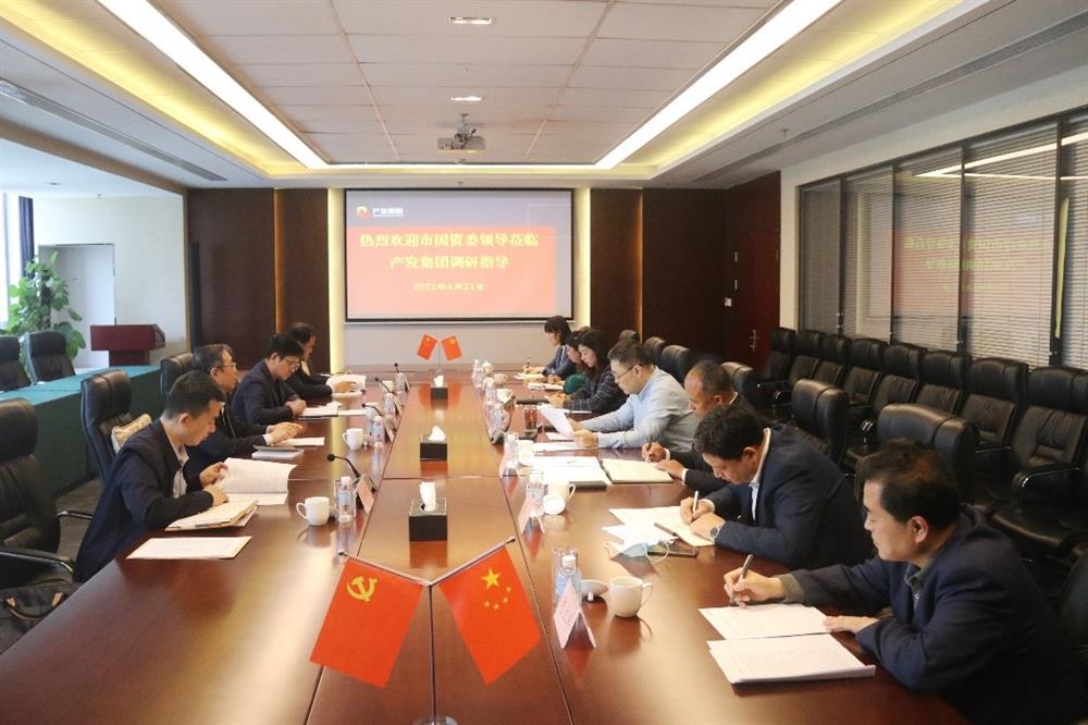 市国资委副主任谢红兵一行到开云登录口网页版集团开展党建工作调研